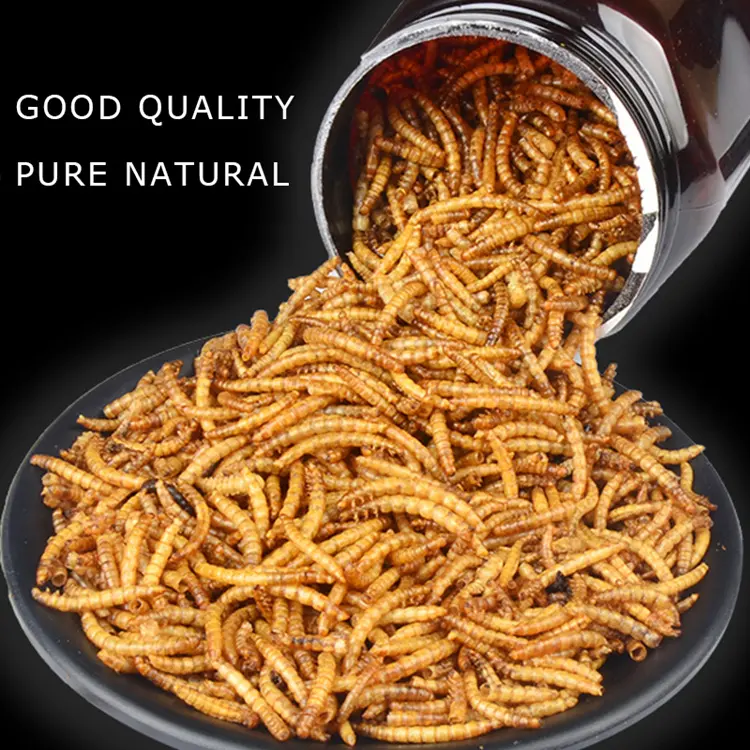 Bird Food Manufacturer OEM Private Label Microwave Dried Mealworms Hot Sale in 2025